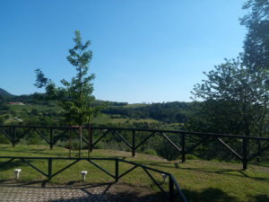 teolo_rustico_02062019_02_ridotto